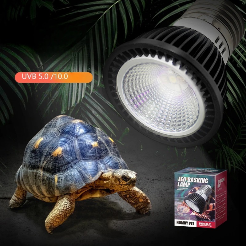NOMOY Reptil 110/220 V UVB + U – Calcium Powder Reptile Bewertung und Preis