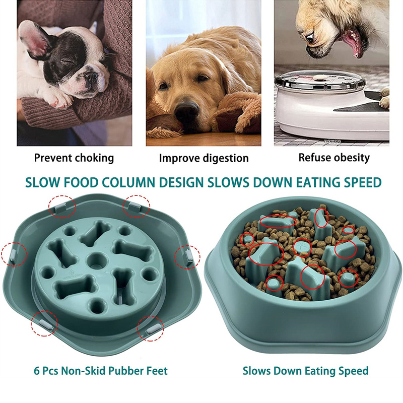 Slow Feeder Hundenapf, Anti-Er – Royal Canin Food Medium Bewertung und Preis